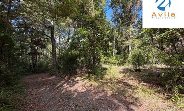 CURARREHUE sector Caren parcelas desde 5.000m2 con servidumbre a río Trancura COD.VTAP262