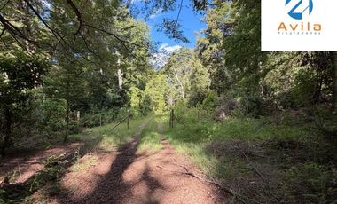 CURARREHUE sector Caren parcelas desde 5.000m2 con servidumbre a río Trancura COD.VTAP262