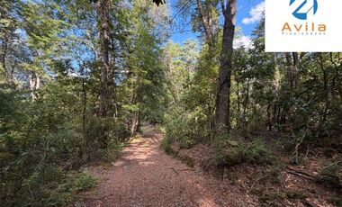 CURARREHUE sector Caren parcelas desde 5.000m2 con servidumbre a río Trancura COD.VTAP262