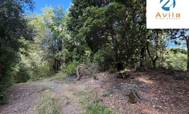 CURARREHUE sector Caren parcelas desde 5.000m2 con servidumbre a río Trancura COD.VTAP262