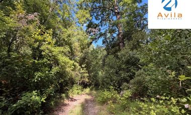 CURARREHUE sector Caren parcelas desde 5.000m2 con servidumbre a río Trancura COD.VTAP262