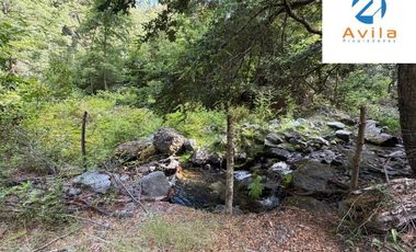 CURARREHUE sector Caren parcelas desde 5.000m2 con servidumbre a río Trancura COD.VTAP262