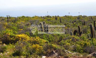 SE VENDE PARCELA EN CONDOMINIO COSTA DORADA, OVALLE