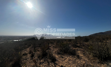SE VENDE TERRENO AGRÍCOLA EN COQUIMBO