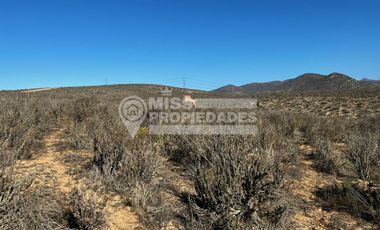 SE VENDE TERRENO AGRÍCOLA EN COQUIMBO