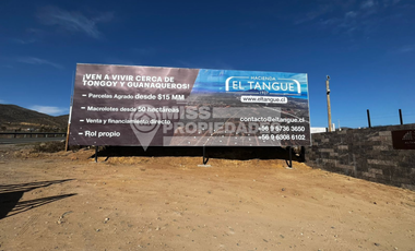 SE VENDE TERRENO AGRÍCOLA EN COQUIMBO