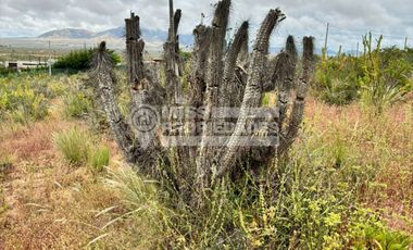 SE VENDE TERRENO AGRÍCOLA EN COQUIMBO