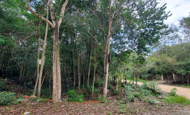 TERRENOS EN VENTA EN TULUM COBÁ