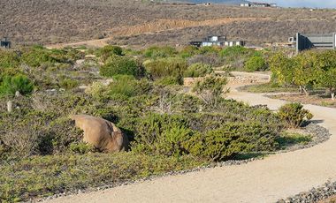 Exclusivo Condominio Agua Dulce Frente Al Mar Huentelauquen