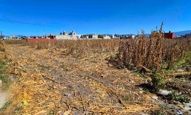 Barrio San Lucas, San Mateo Atenco, terreno plano, en esquina