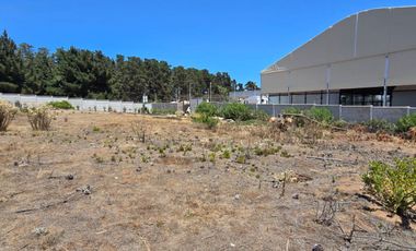 Los Pinos con agua y luz, a pasos de Gastón Hamel