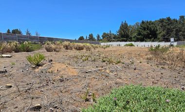 Los Pinos con agua y luz, a pasos de Gastón Hamel