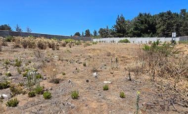 Los Pinos con agua y luz, a pasos de Gastón Hamel