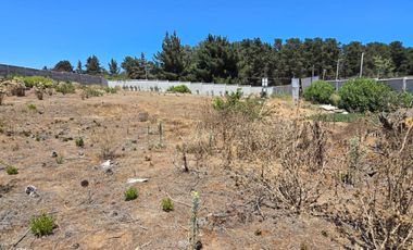 Los Pinos con agua y luz, a pasos de Gastón Hamel