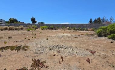 Los Pinos con agua y luz, a pasos de Gastón Hamel