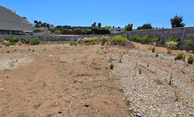 Los Pinos con agua y luz, a pasos de Gastón Hamel