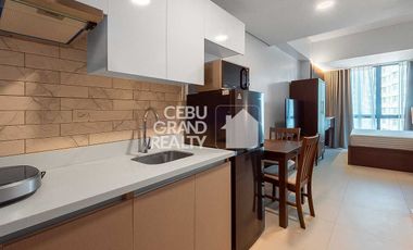 Furnished Studio for Rent in 38 Park Avenue