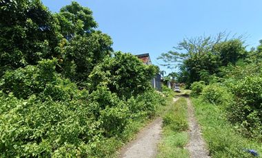 Ideal Land For Dream House Or Villa In A Serene Prestigious Residential Neighborhood At Nusa Dua, Good Environment, Close To Itdc Nusa Dua