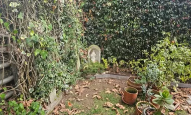 CAMPESTRE Y CLUB HOUSE