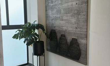 PRECIOSO PENTHOUSE CON ROOF GARDEN PRIVADO EN COYOACÁN