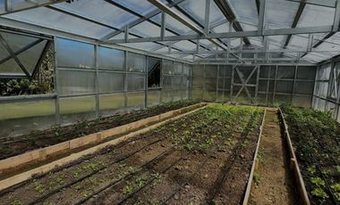 Casas en Los Muermos | Campo con casa recepcionada, agua APR – 5,75 ha Caleta Estaquilla.