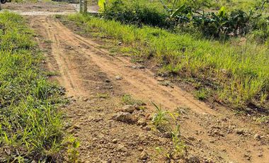 Tanah Kavling Dekat Pabrik Di Desa Padakaton Ketanggungan Brebes
