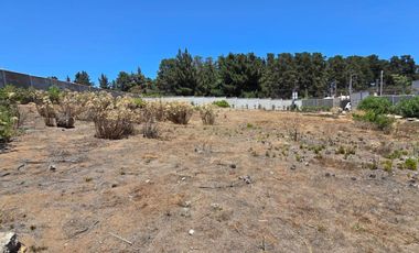 Reñaca, Los Pinos, sitio 1500 m2, Luz y agua instaladas