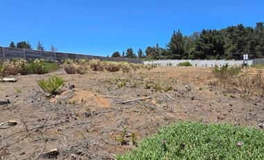 Reñaca, Los Pinos, sitio 1500 m2, Luz y agua instaladas