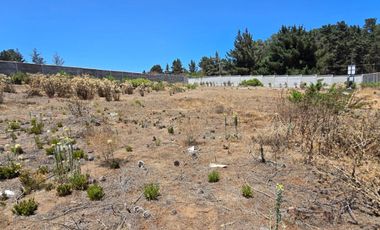 Reñaca, Los Pinos, sitio 1500 m2, Luz y agua instaladas