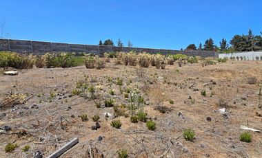 Reñaca, Los Pinos, sitio 1500 m2, Luz y agua instaladas