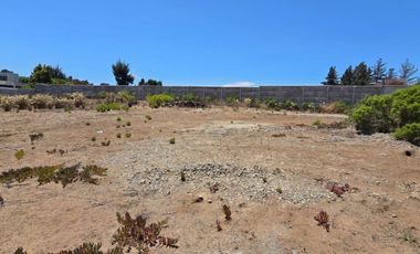 Reñaca, Los Pinos, sitio 1500 m2, Luz y agua instaladas