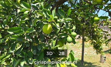 Arriendo casa quinta céntrica en Quillota