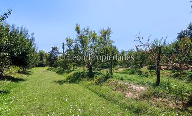 Leon Propiedades vende hermosa parcela en Maria Pinto.