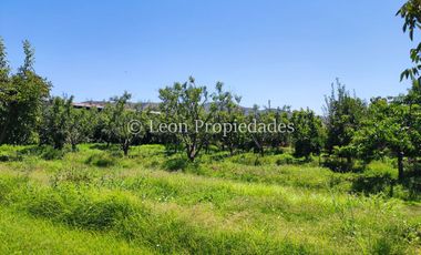 Leon Propiedades vende hermosa parcela en Maria Pinto.