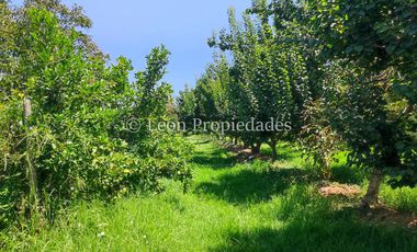 Leon Propiedades vende hermosa parcela en Maria Pinto.