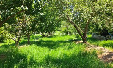 Leon Propiedades vende hermosa parcela en Maria Pinto.