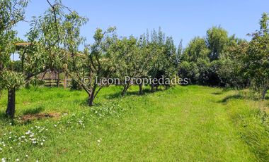 Leon Propiedades vende hermosa parcela en Maria Pinto.