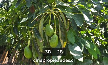 Se arrienda casa quinta ubicada a 5 cuadras de la Plaza de Armas de Quillota.