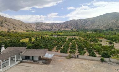 Terreno en Venta de 16.200 m² en Ambuquí – Frente a la Panamericana (79 metros de frente)