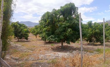 Terreno en Venta de 16.200 m² en Ambuquí – Frente a la Panamericana (79 metros de frente)