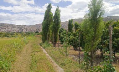 Terreno en Venta de 16.200 m² en Ambuquí – Frente a la Panamericana (79 metros de frente)