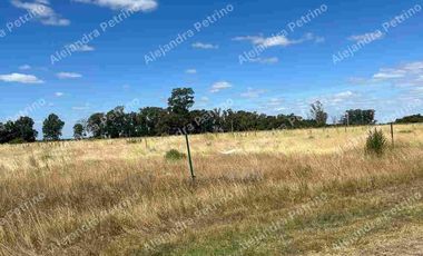 Terreno en venta en José María Ezeiza, Ezeiza