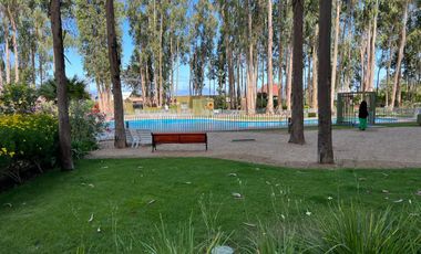 Vendo departamento condominio en Algarrobo Norte