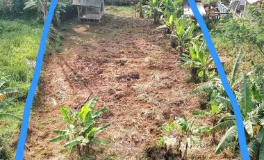 Dijual tanah bagus matang datar pinggir jalan dekat kota strategis