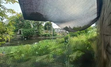 Ruang Usaha Kyai Abdul Karim Gununganyar Surabaya Dekat RS Mitra