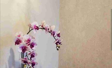 Disewakan Apartemen The Oak Tower B 2BR Full Furnish Lt Tinggi