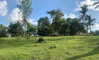 1 HEKTAR 12 ARE LAND IN TABANAN WEST SELAMADEG FOR SALE code mr.dalem