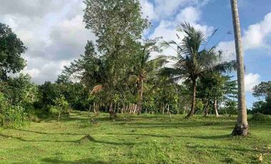 1 HEKTAR 12 ARE LAND IN TABANAN WEST SELAMADEG FOR SALE code mr.dalem