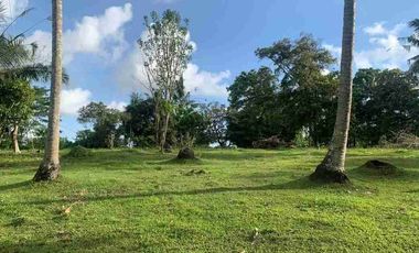1 HEKTAR 12 ARE LAND IN TABANAN WEST SELAMADEG FOR SALE code mr.dalem