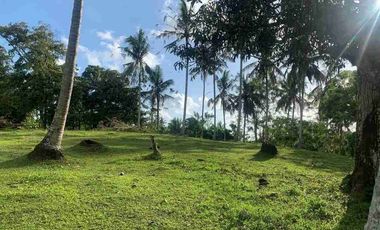 1 HEKTAR 12 ARE LAND IN TABANAN WEST SELAMADEG FOR SALE code mr.dalem